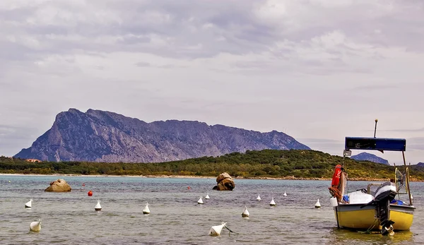 Tavolara's Island — Stock Photo, Image