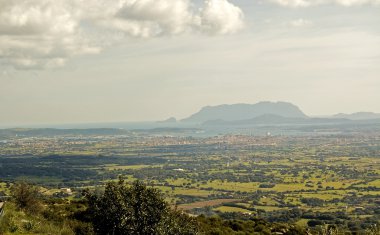 Olbia Sardunya