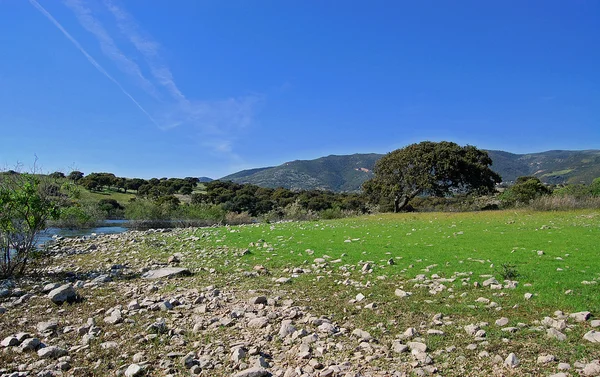 Riva del Lago Coghinas, Sardegna