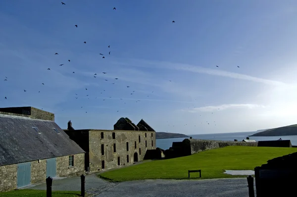 Questa Una Bellissima Fortezza Kinsale Vicino Cork Irlanda — Foto Stock