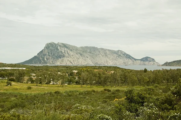 Wyspa Tavolara Jest Najbardziej Znanym Północnej Części Sardynii — Zdjęcie stockowe