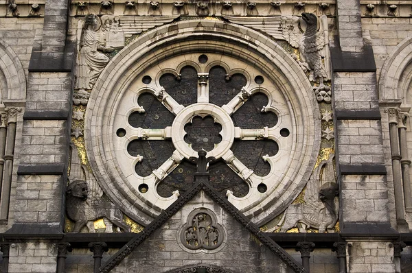Catedral de St. Finn Barre, Cork —  Fotos de Stock