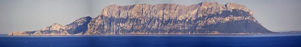 岛上是 Tavolara 的在撒丁岛的北部最著名 — 图库照片