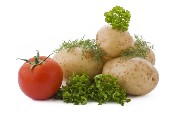 Potatoes, tomato, salad and herbs — Stock Photo, Image