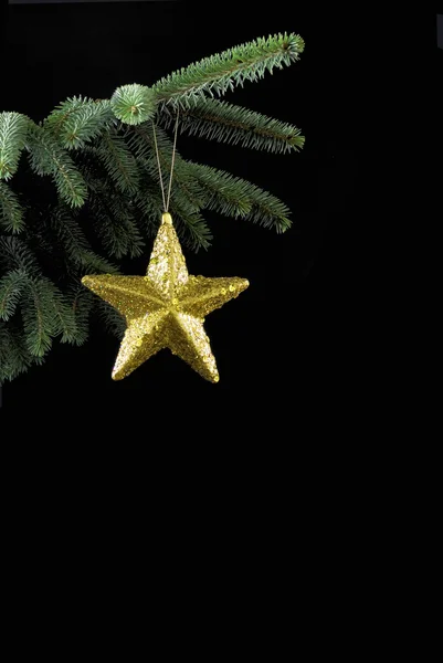 Gold star on spruce branch — Stock Photo, Image