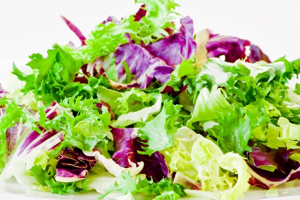 Varie foglie di insalata — Foto Stock