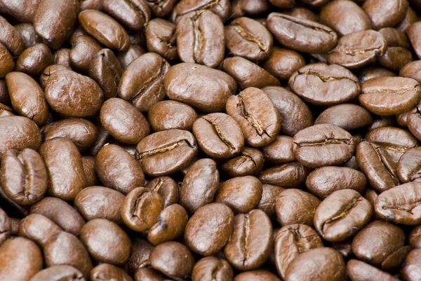 stock image Brown coffee beans texture