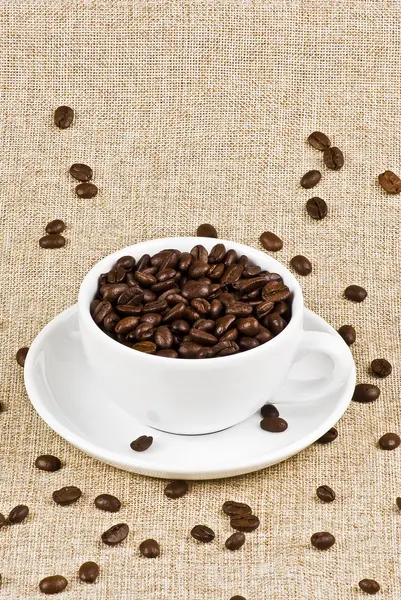 Cup of coffe beans — Stock Photo, Image