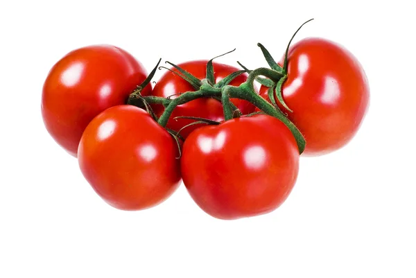 Um monte de tomates. — Fotografia de Stock