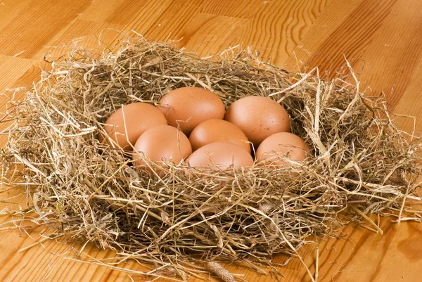 Verse eieren in het hooi — Stockfoto