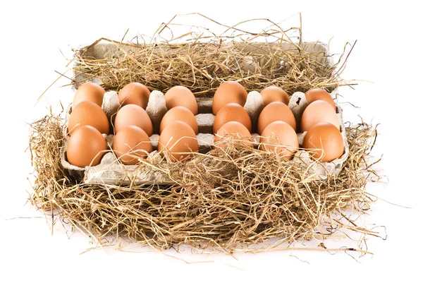 Verse Boerderij Eieren Pack Het Hooi — Stockfoto