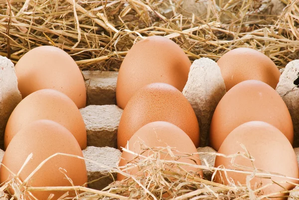 卵を詰め込み — ストック写真