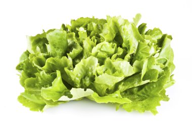 Beyaz arka plan üzerinde izole taze yeşil salata