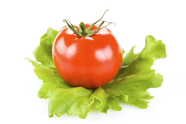 Świeżych Pomidorów Sałaty Białym Tle Nad Białym — Zdjęcie stockowe