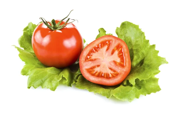 Tomater och sallad — Stockfoto