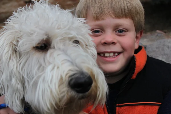 stock image A Boy and His Dog