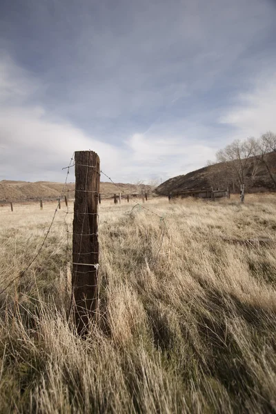 Ancien poteau de clôture dans un champ ouvert — Photo