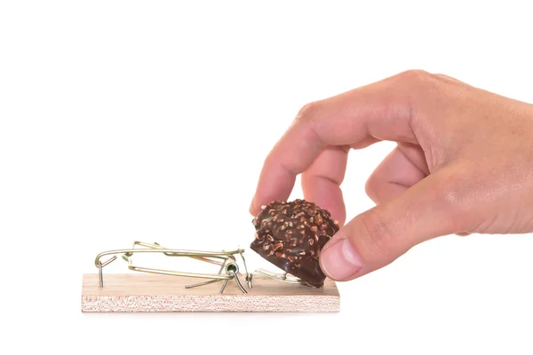 stock image Mousetrap with chocolate