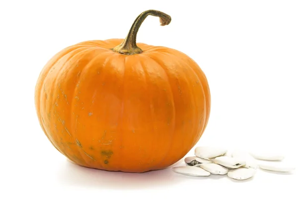 Stock image Pumpkin