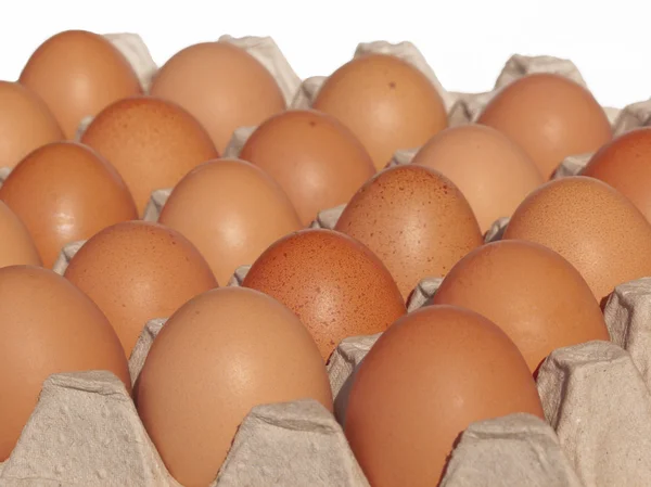 Huevos en el envase —  Fotos de Stock