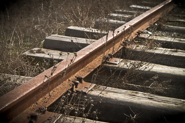 Ржавые рельсы на брошенном железнодорожном пути — стоковое фото