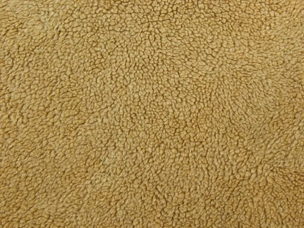 A textura da lã de cordeiro — Fotografia de Stock