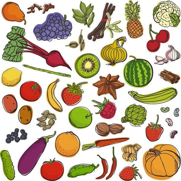スパイス ・野菜・果物の大きなセット — ストックベクタ