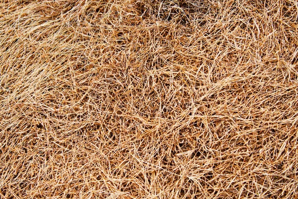 stock image Yellow chaff