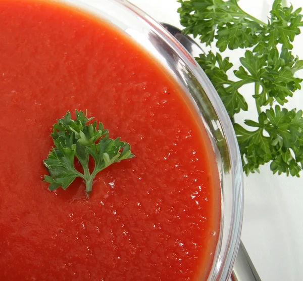 Paradicsom leves — Stock Fotó