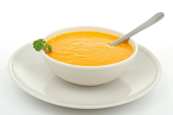 Tál leves — Stock Fotó