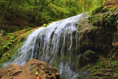 Small waterfall and red berry on the stone clipart