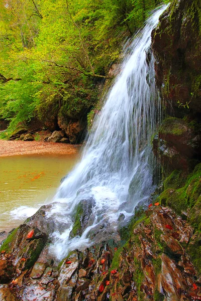 bir sonbahar gecesi orman şelale