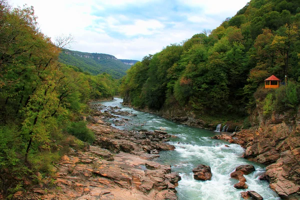 Herbstlicher Wald und Gebirgsfluss mit kleinem Wasserfall — Stockfoto