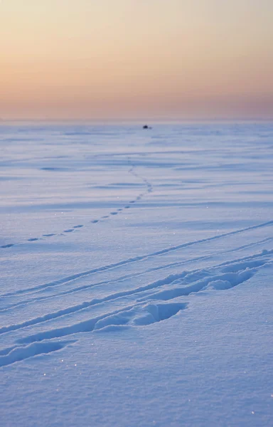 冬季景观与深深的痕迹 在雪中 — 图库照片