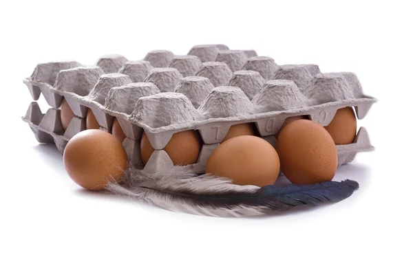 Eggs in carton — Stock Photo, Image
