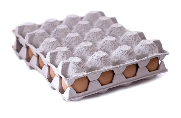 stock image Eggs in carton