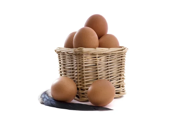 バスケットの卵 — ストック写真