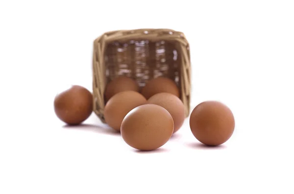 Huevos de la cesta — Foto de Stock