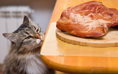 Cat looking at piece of meat from the kitchen table clipart