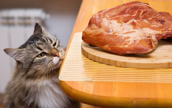 Cat looking at piece of meat from the kitchen table — Stock Photo, Image