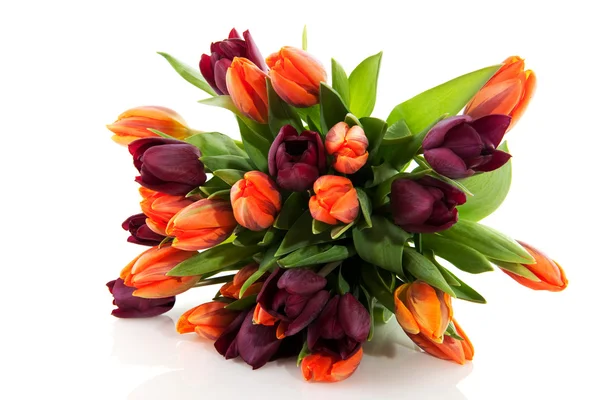 Maroon e tulipas laranja Imagem De Stock