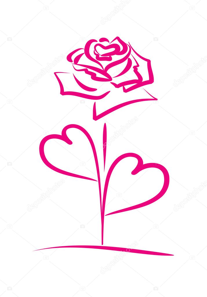 Red rose with petals in the shape of a heart on a white background