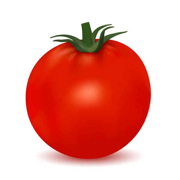 흰 바탕에 토마토를 분리 한 모습 — 스톡 벡터