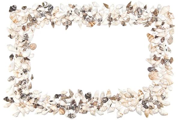 Stock image Shell frame on a white background