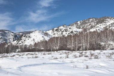 rocky Dağları kar ile kış manzarası