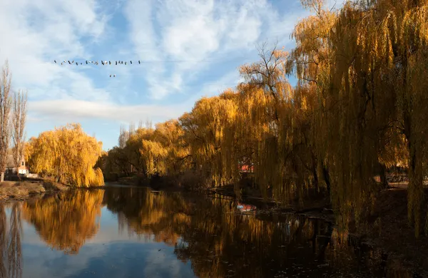 stock image Autumn time