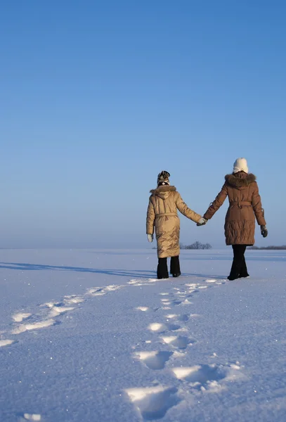 Две Сестры Идут Снег — стоковое фото
