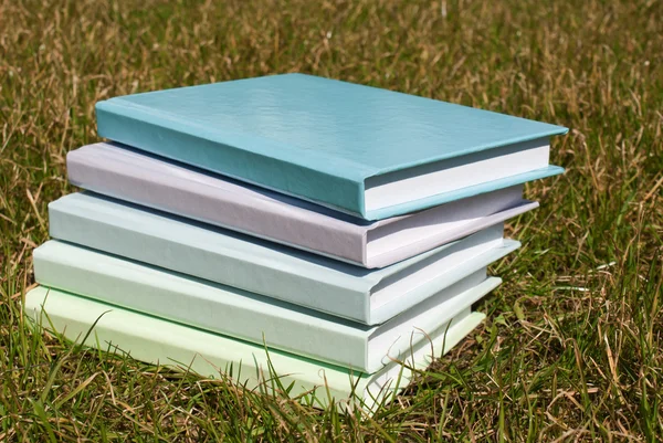 Högen med böcker om på gräset — Stockfoto