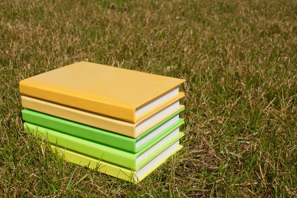 Pila dei libri che posano sull'erba — Foto Stock