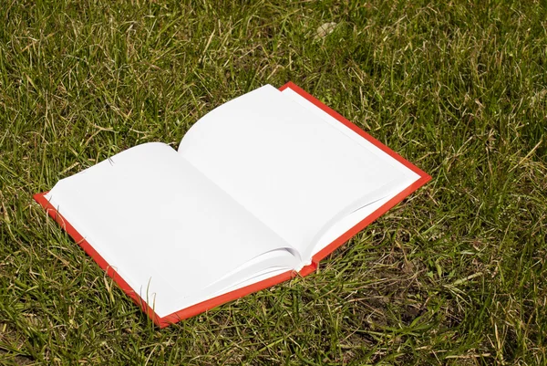 Livro aberto com páginas brancas que colocam na grama — Fotografia de Stock